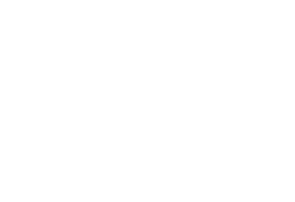 IMAA Logo